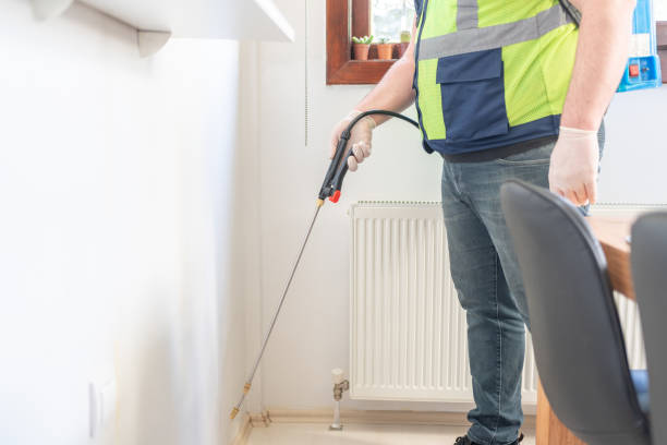 Best Termite Control Services  in Darlington, SC