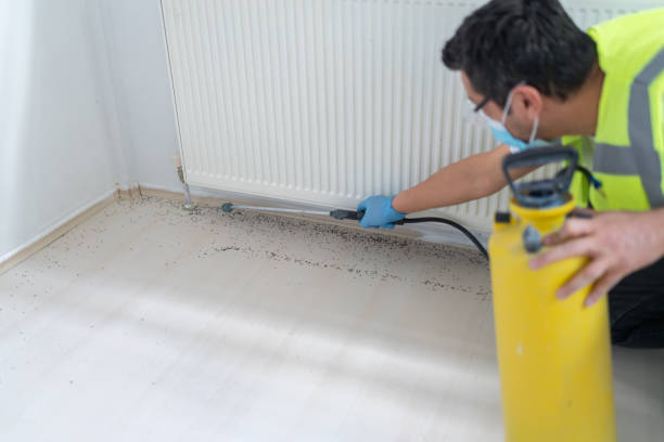 Best Pest Removal Services  in Darlington, SC