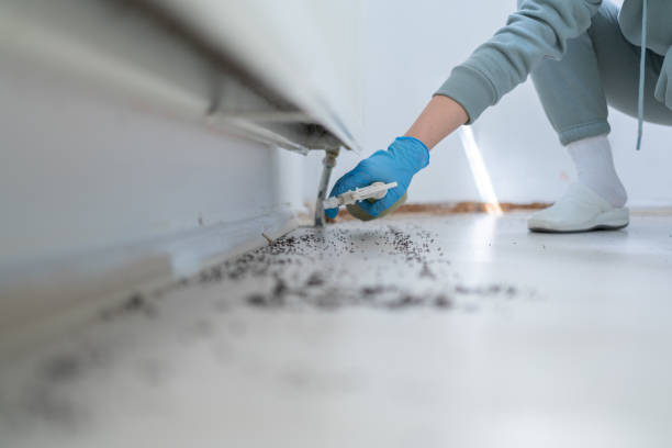 Best Exterminator Services  in Darlington, SC